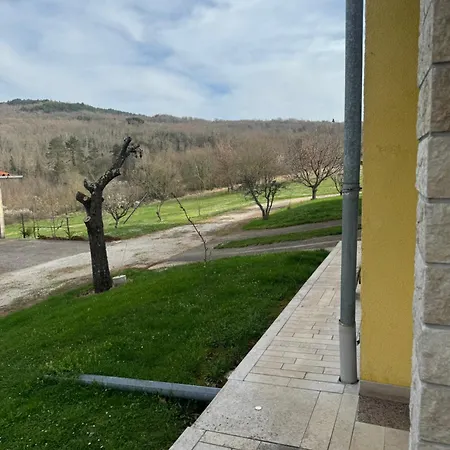 Apartmani Antonio Motovun Exterior photo