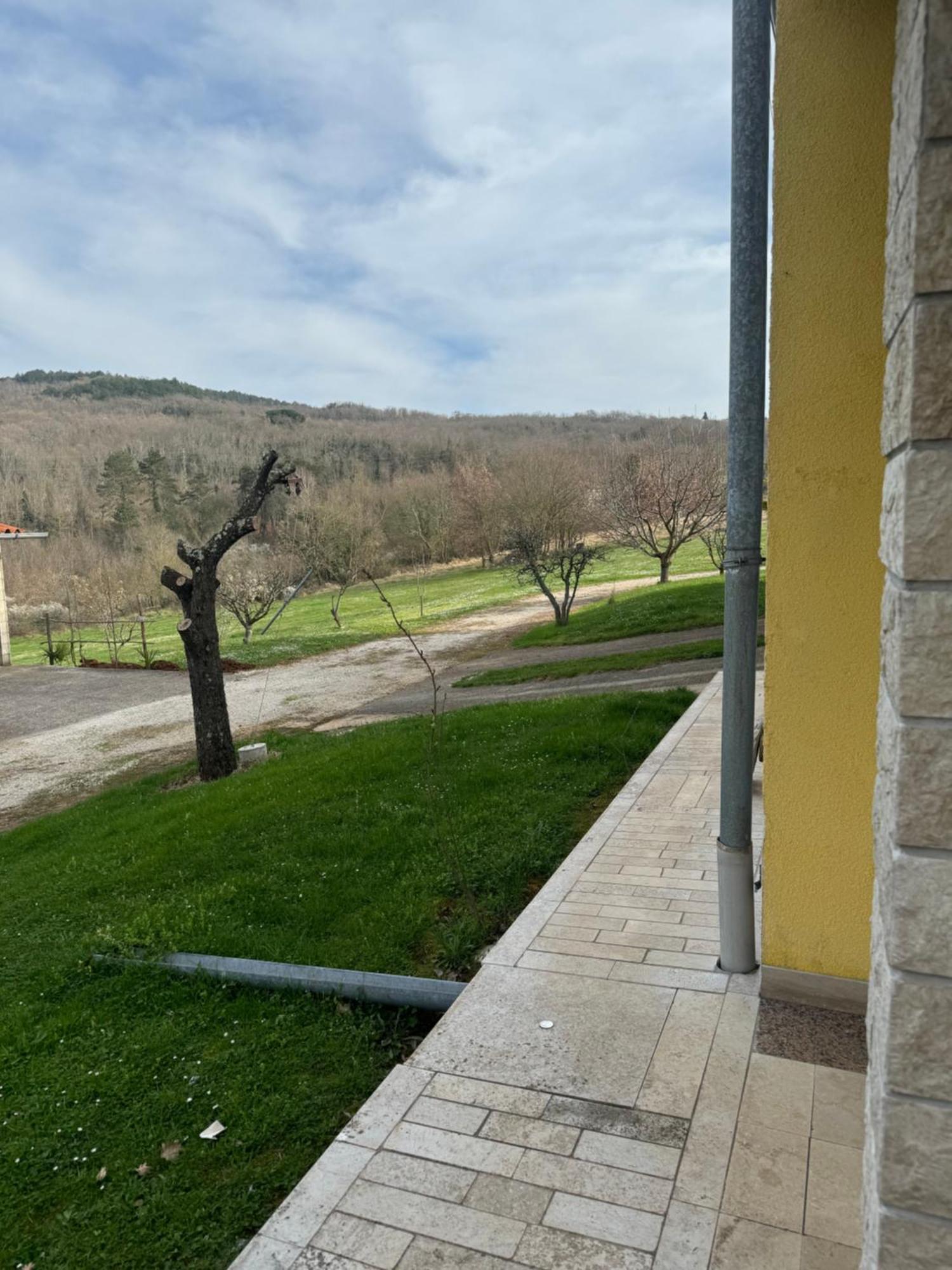 Antonio Motovun