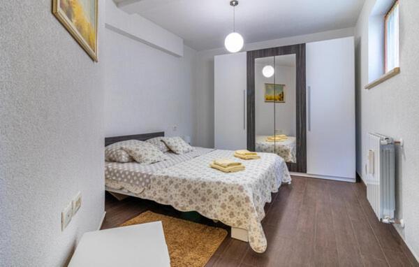 Apartment Antonio Motovun